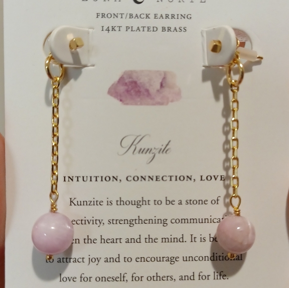 LUNA NORTE 14K GOLD PLATED BRASS KUNZITE GEMSTONE CHAIN EARRINGS - Picture 1 of 9